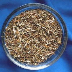Millepertuis