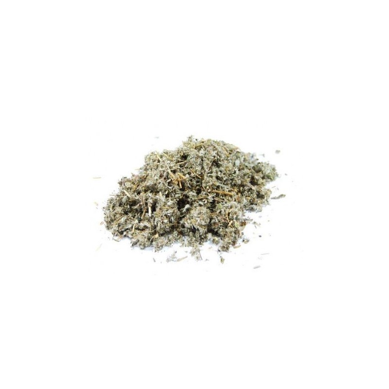 Argentine (potentille)