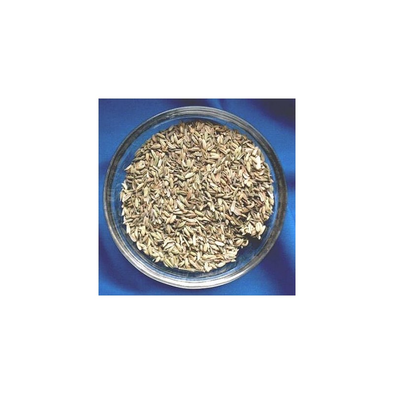 Fenouil