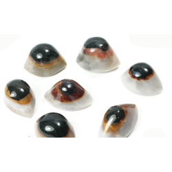 Oeil de shiva