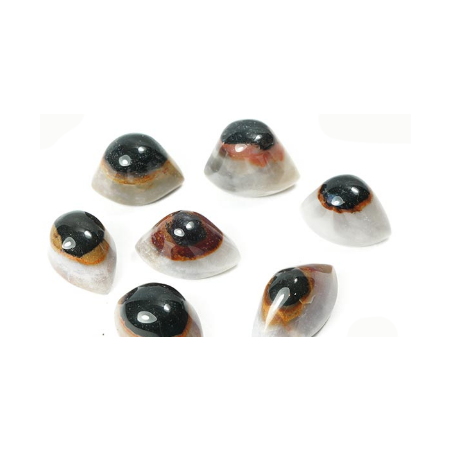 Oeil de shiva