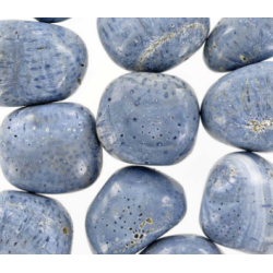 Corail bleu fossilisé
