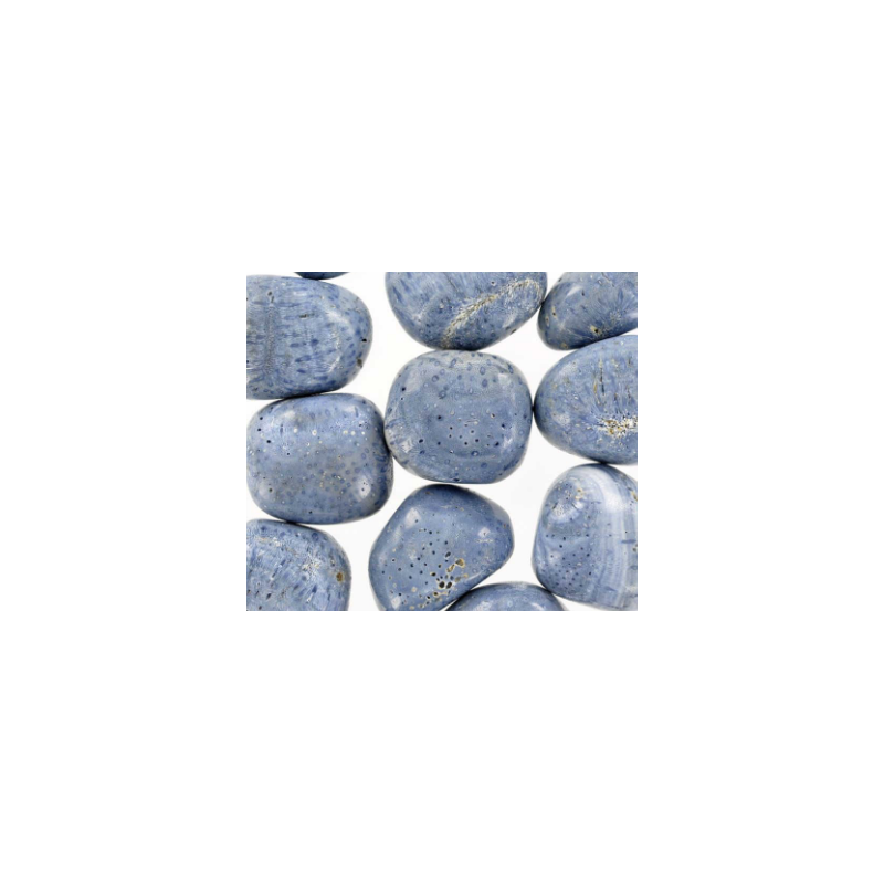 Corail bleu fossilisé