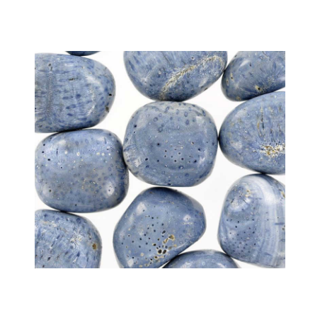 Corail bleu fossilisé