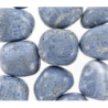 Corail bleu fossilisé